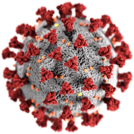 COVID-19 pandemic declared